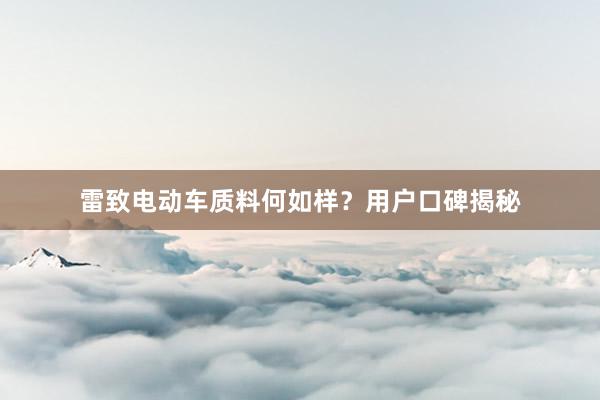 雷致电动车质料何如样？用户口碑揭秘